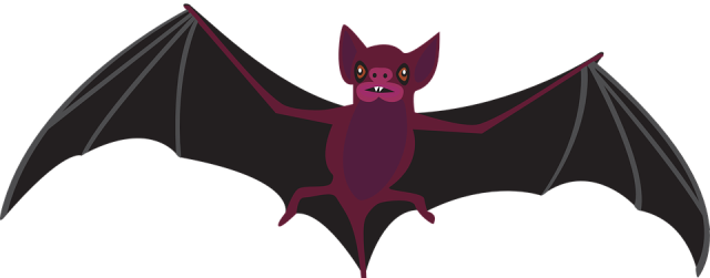 nietoperz1