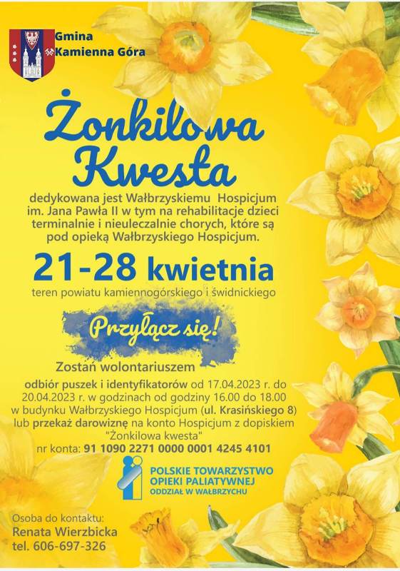 żonkilowa kwesta